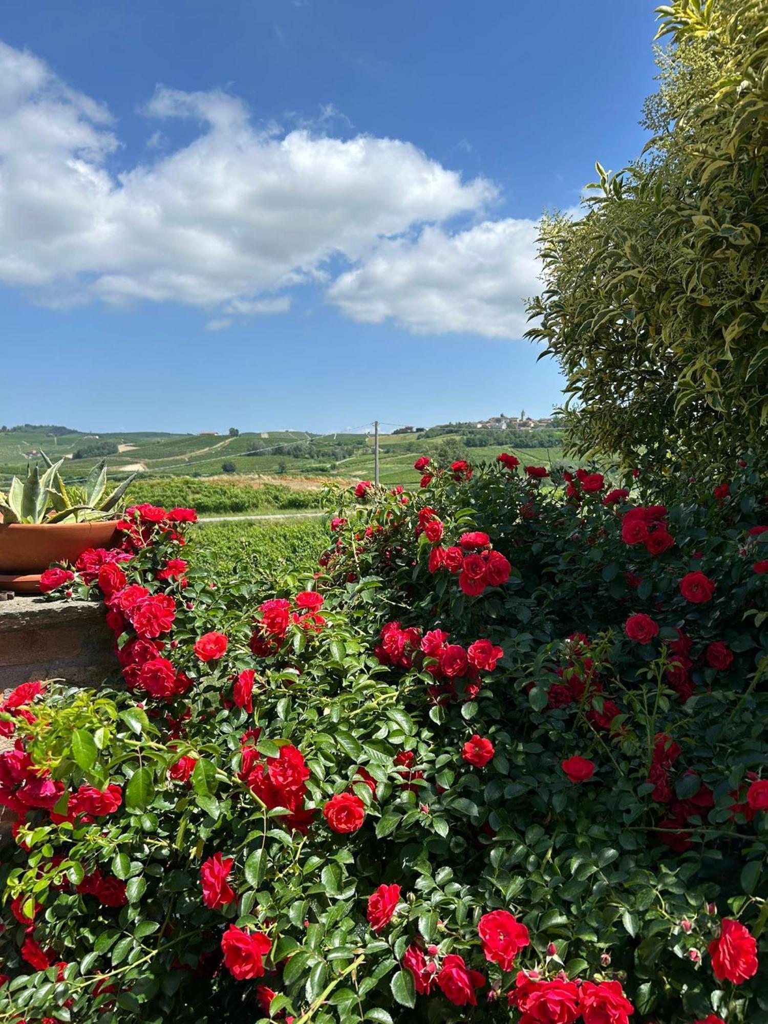 Agriturismo Bastian Villa Fontanile Exterior foto